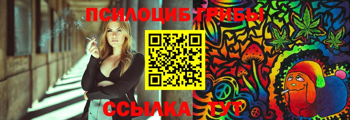 Псилоцибиновые грибы Psilocybe  Вход с VPN  Ижевск  Псилоцибиновые грибы прущие грибы 